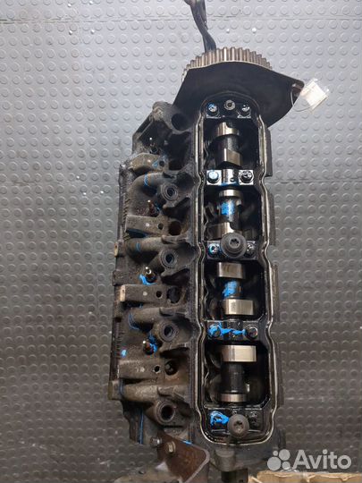 Головка блока (ГБЦ) Opel Vivaro, 2004