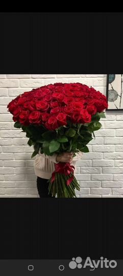 Розы Цветы Букет Заказать Доставка Сочи Купить 101