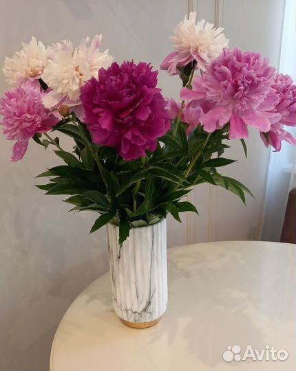 Многолетние садовые растения