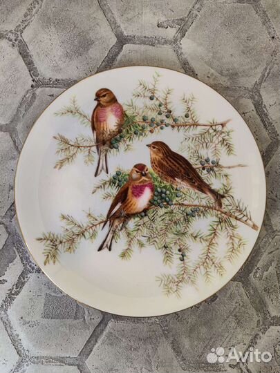 Тарелки, музейные птицы Джона Гулда Coalport