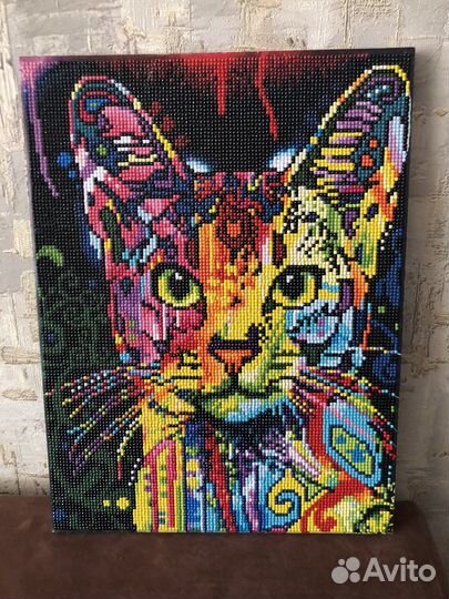 Кот радужный