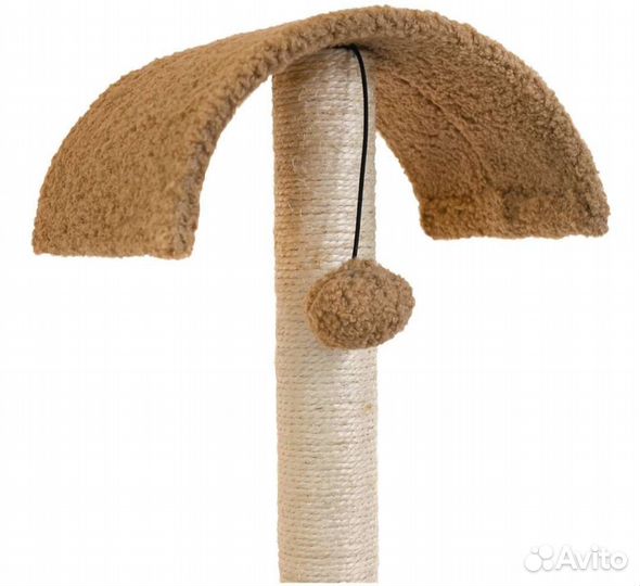 Когтеточка