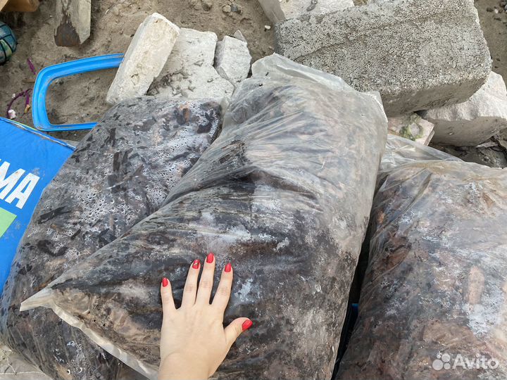 Мульча кора лиственницы