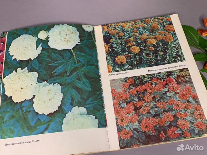Книга про цветы