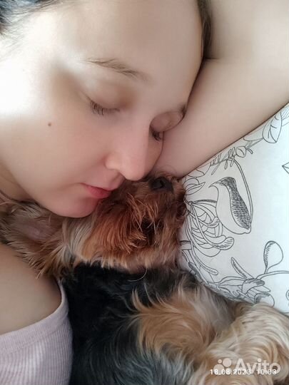 Домашняя передержка