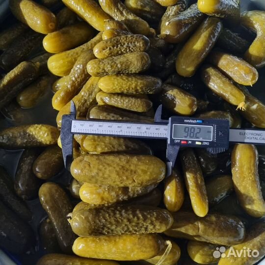 Огурчики бочковые