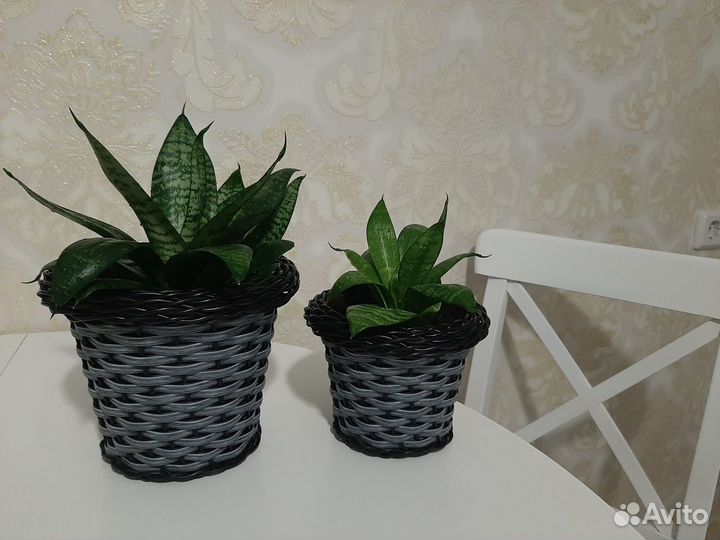 Кашпо для цветов