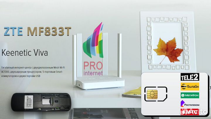 Роутер keenetic Viva + ZTE MF833T