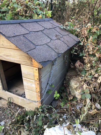 Будка для собаки