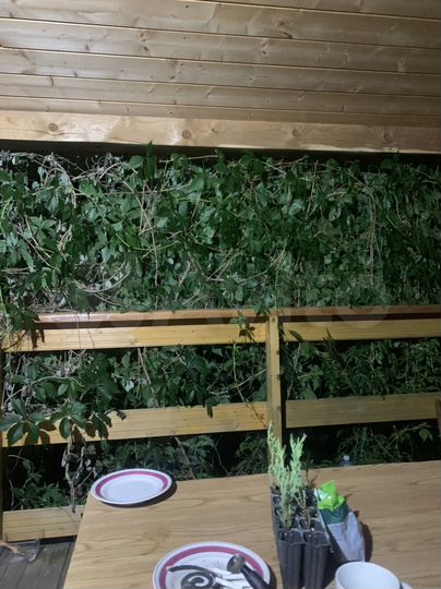 Дом 65 м² на участке 14,2 сот.