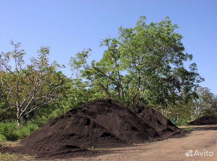 Перегной навоз коровяк чернозем торф и всякие сипу