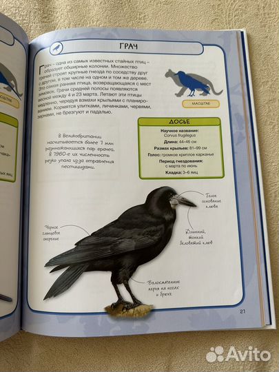 Энциклопедии для детей