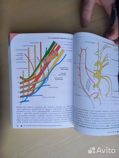 Атлас по анатомии адам и учебник по неврологии