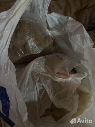 Собачья шерсть (сенбернар )