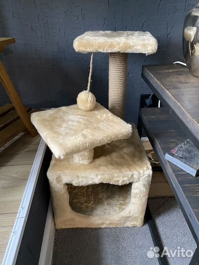 Кошка в добрые руки