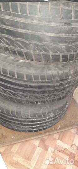 Dunlop All Season Maxx AS1 215/55 R16