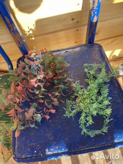 Искусственные растения в аквариум