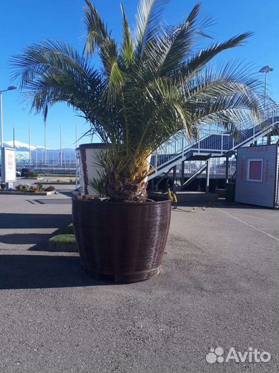 Подставка для цветов