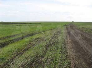 Участок 25,35 га (ИЖС)