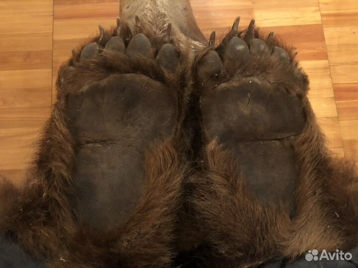 Шкура медведя имитация