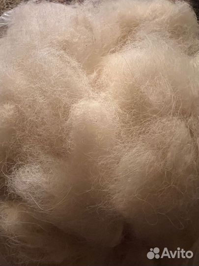 Собачья шерсть самоеда