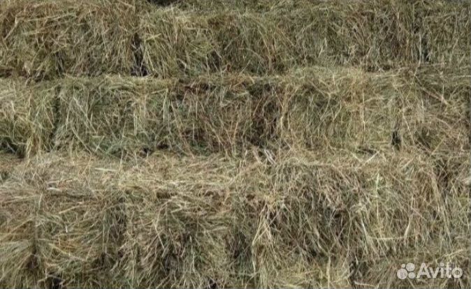 Сено разнотравье