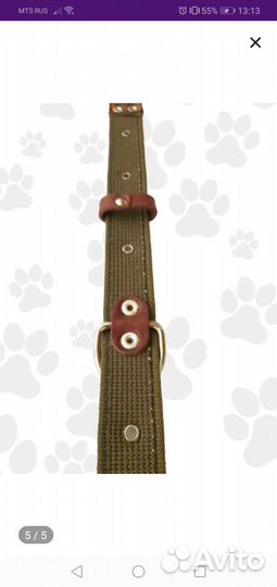 Одежда для собак