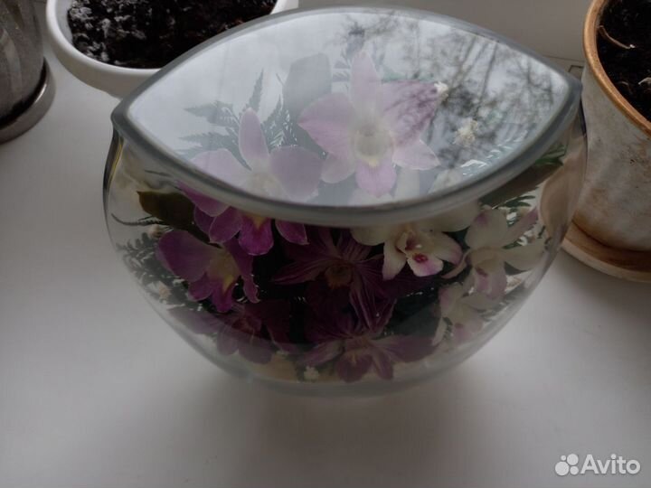 Живые стабилизированные цветы в вакууме