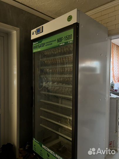 Инкубатор NBF -1400 выводной шкаф