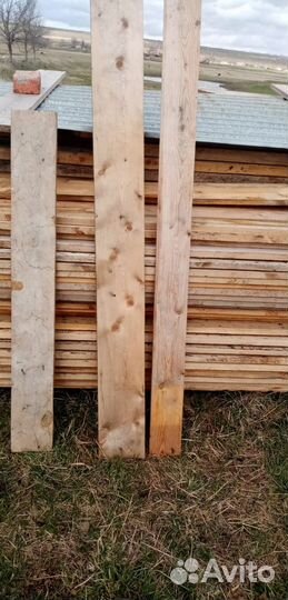 Продам тёлочку