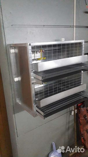 Клетка для перепелов