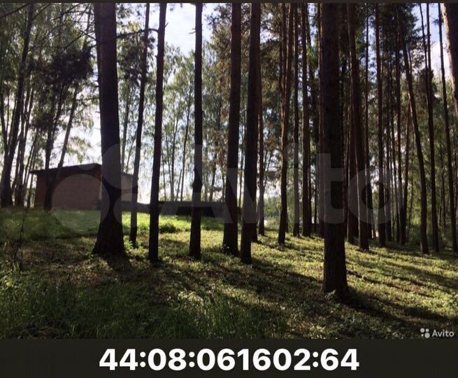 Участок 1,05 га (ИЖС)