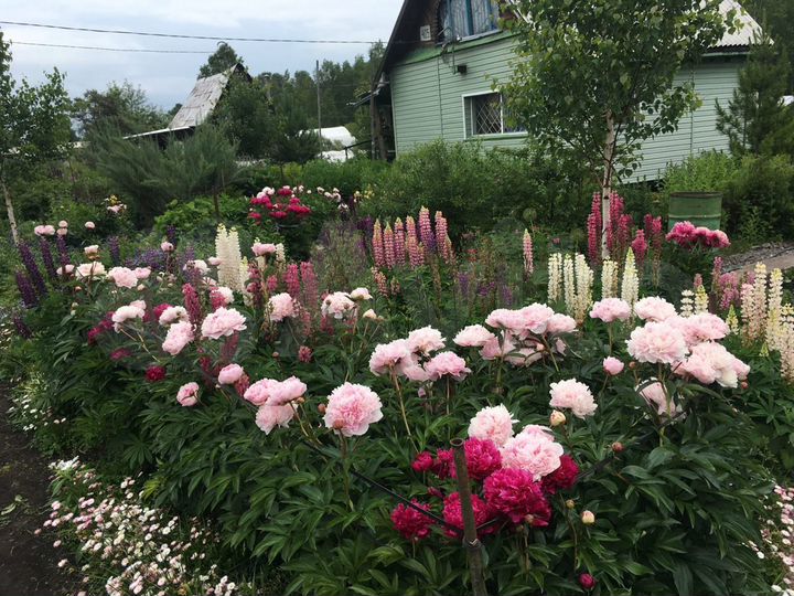 Участок 5 сот. (СНТ, ДНП)