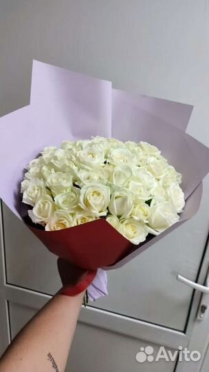 Голландская роза от производителя