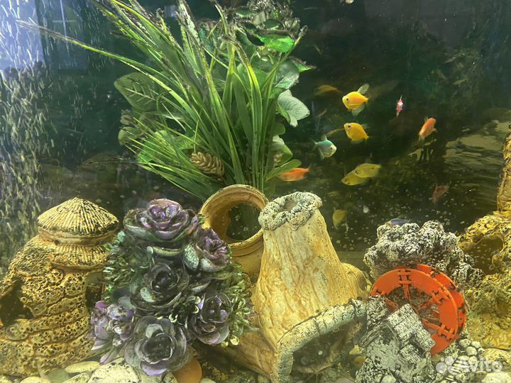 Аквариум с тумбой 180 литров