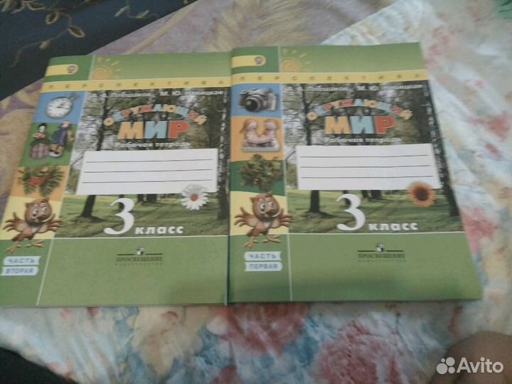 Рабочие тетради по окружающему миру 3 класс