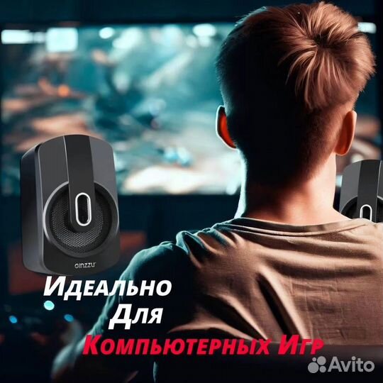 Акустическая система Ginzzu GM-405