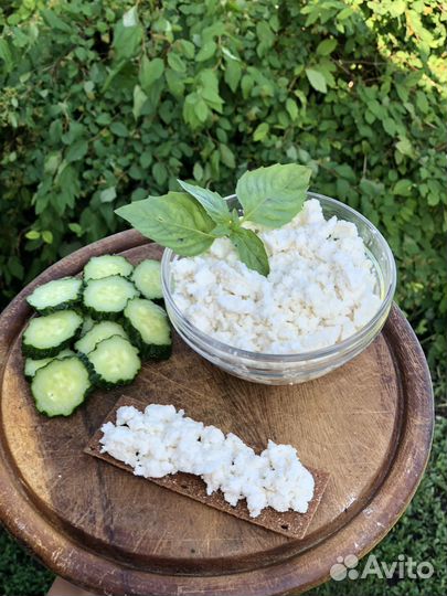 Козий Творог обезжиренный