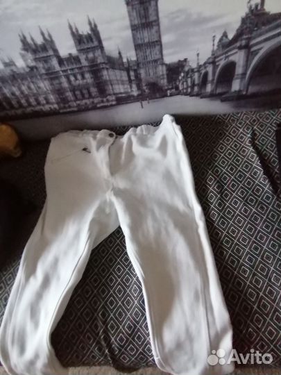 Шлем для конного спорта