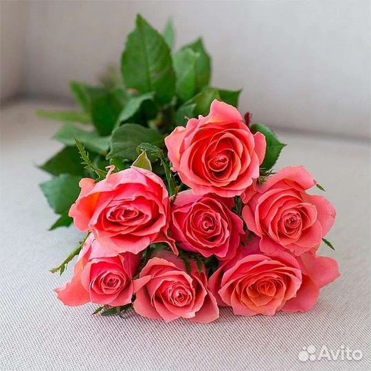 Цветы розы букет