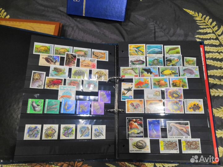Коллекция марок в альбомах