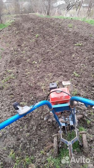 Благоустройство сада