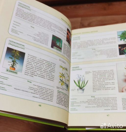 Книги о комнатных растениях