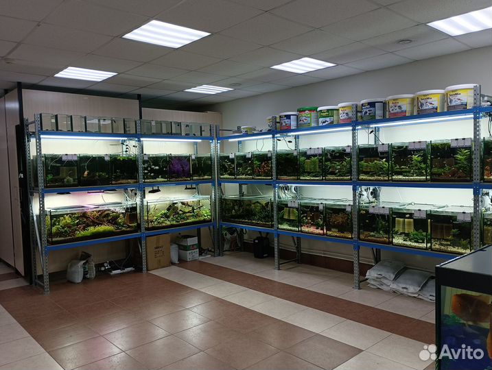 Аквариумный салон 