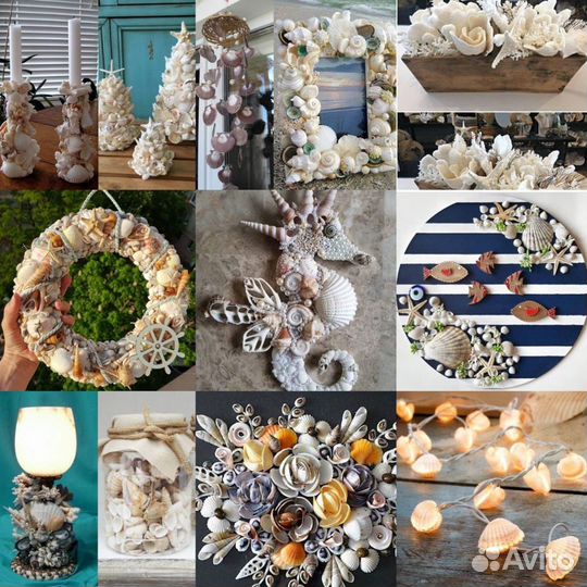 Ракушки / камушки