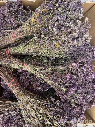 Душицы Крымской в букетиках