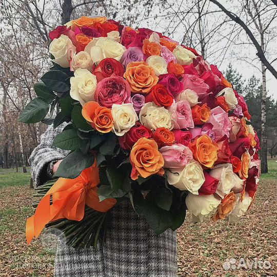 101 роза 51 роза 55 75 35 31 25 Букет Доставка