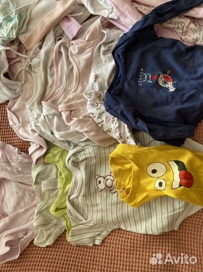 Боди и слипы