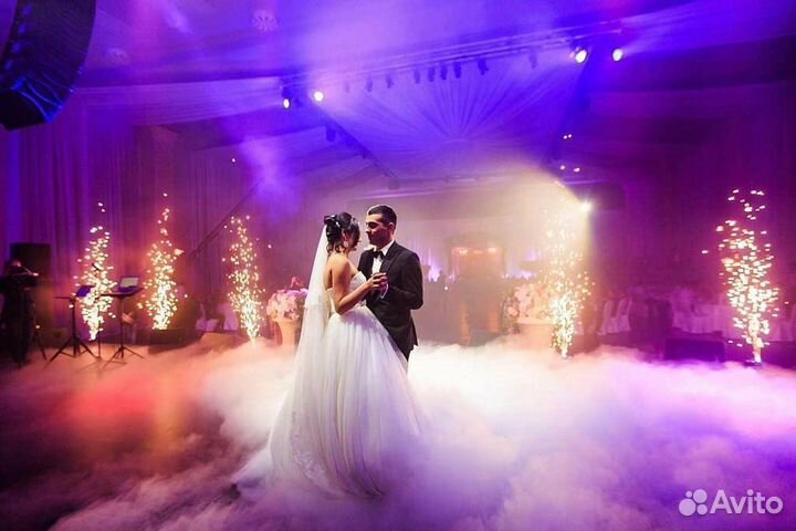 Ведущая Музыкант Dj Свадьба Юбилей