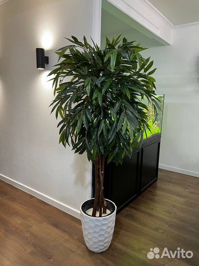 Искусственное дерево / фитокартина Тамбов